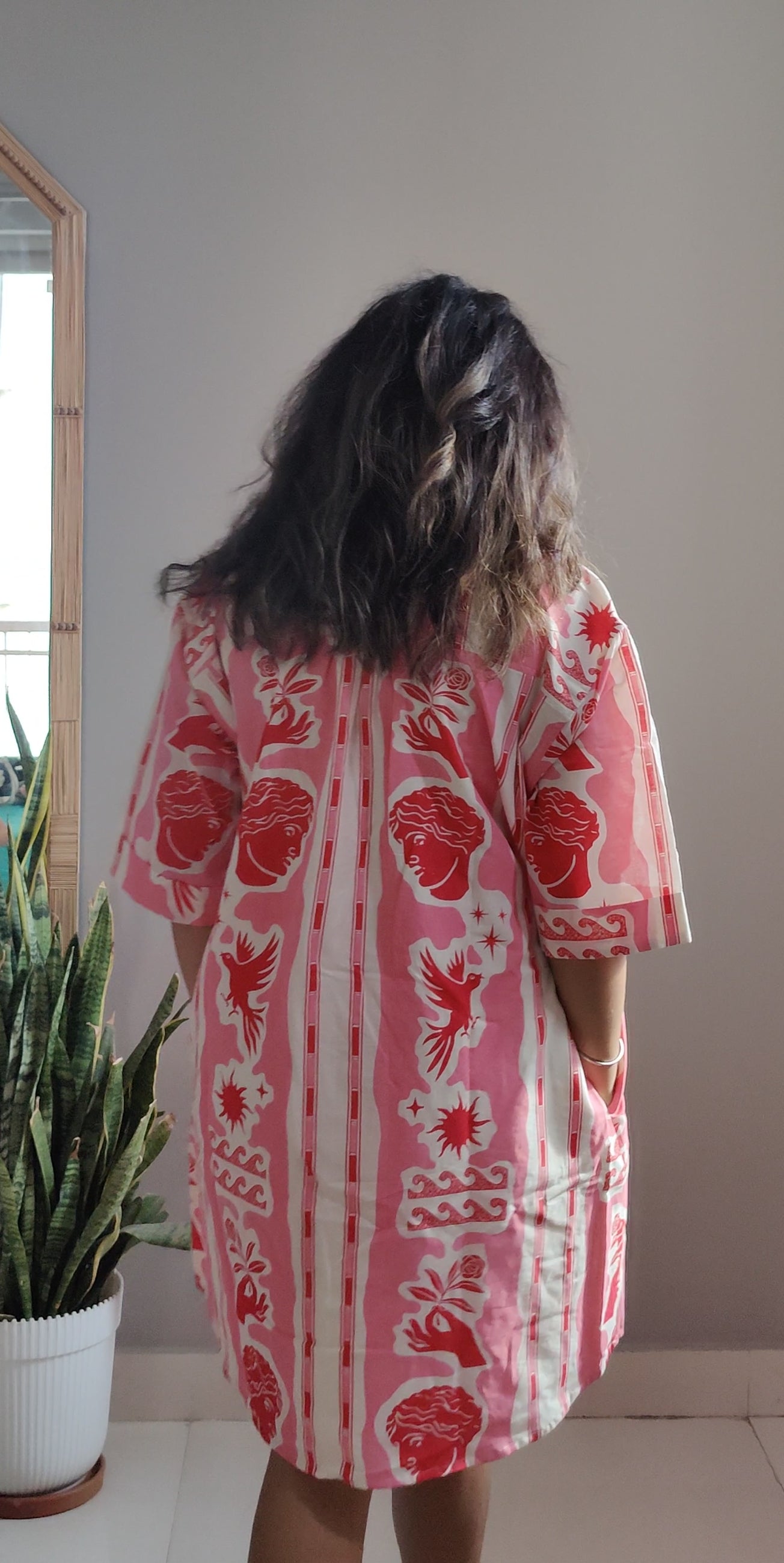 Holly Berry  Shirtdress