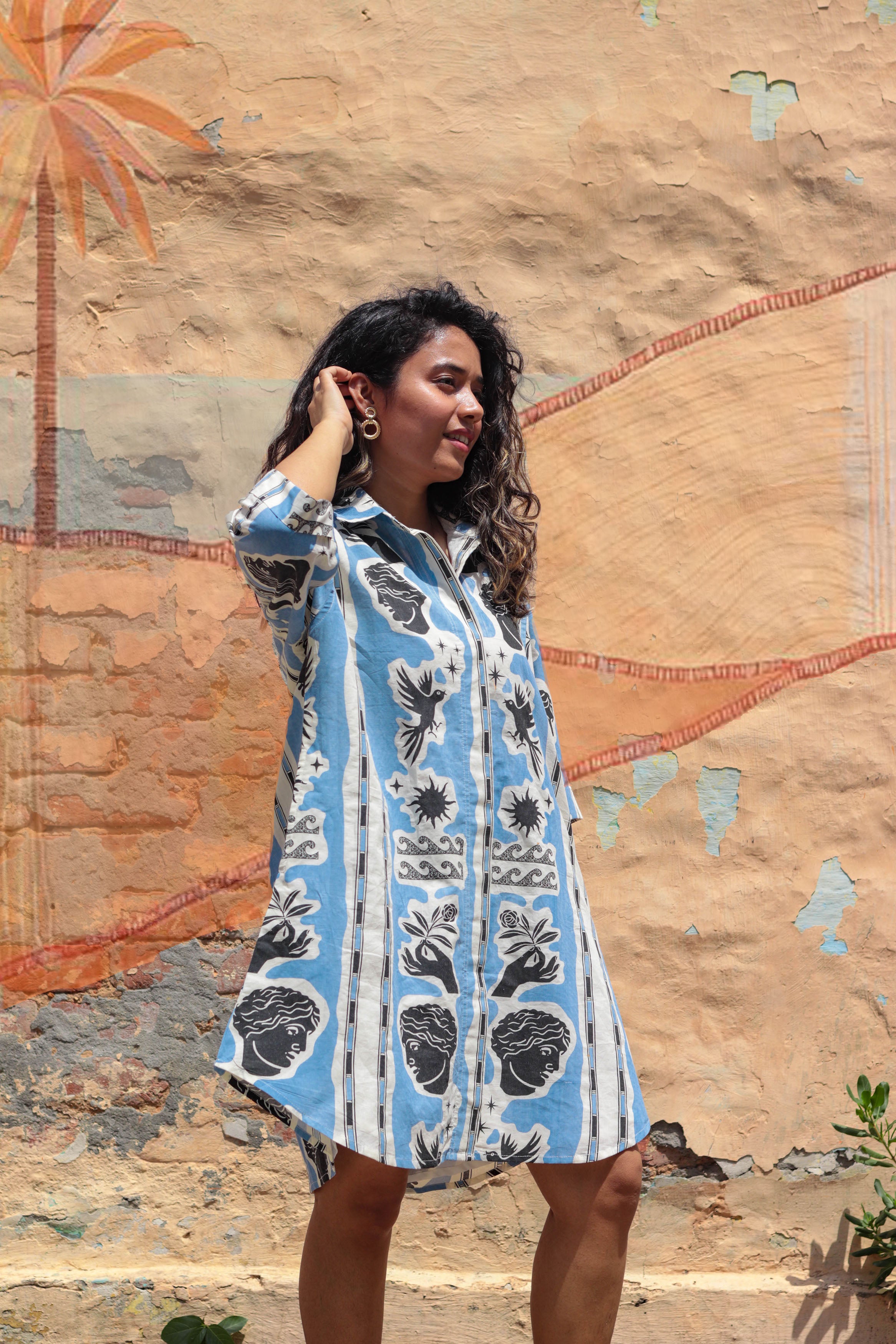 Coastline Holiday Shirtdress