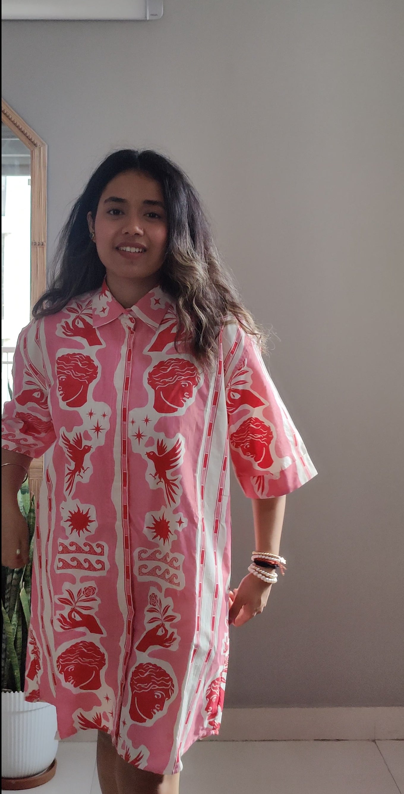 Holly Berry  Shirtdress